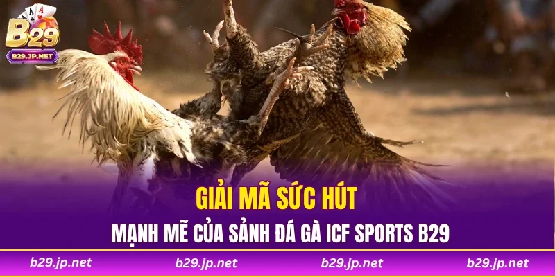 Giải mã sức hút mạnh mẽ của sảnh đá gà ICF Sports B29