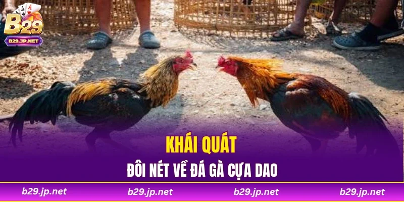 Khái quát đôi nét về đá gà cựa dao