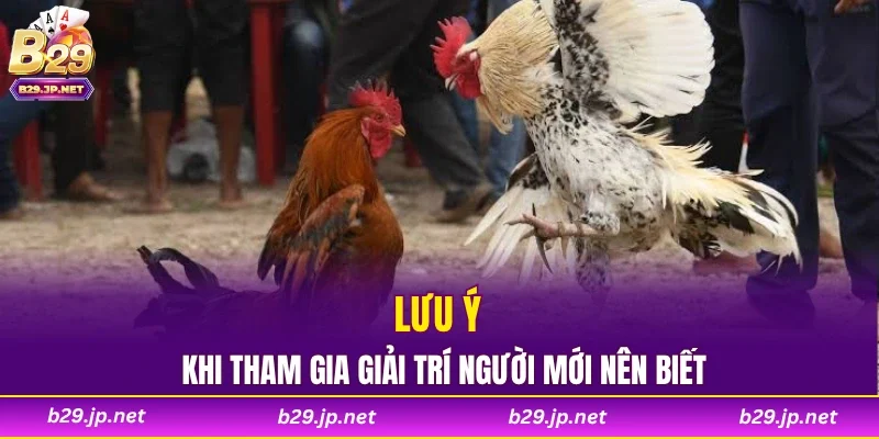 Lưu ý khi tham gia giải trí người mới nên biết