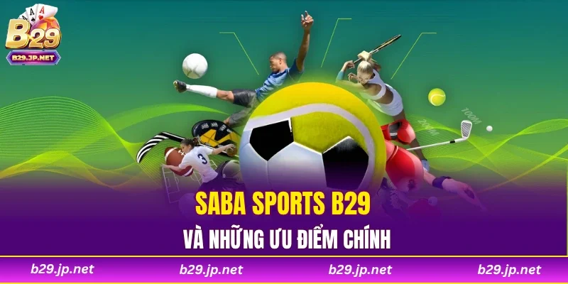 Saba Sports B29 và những ưu điểm chính