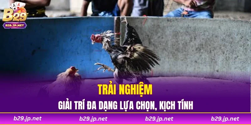 Trải nghiệm giải trí đa dạng lựa chọn, kịch tính